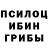 Галлюциногенные грибы MAGIC MUSHROOMS Chaz Crasdallas