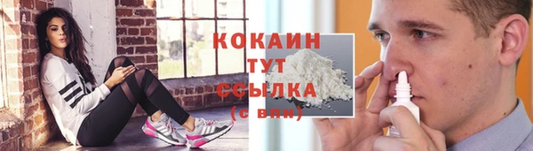 соль ск Абаза