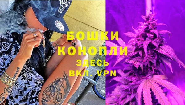 соль ск Абаза