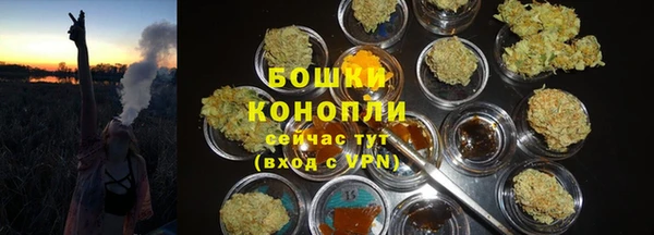 соль ск Абаза